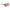Thumbnail for Product image