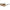 Thumbnail for Product image