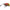 Thumbnail for Product image