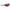 Thumbnail for Product image